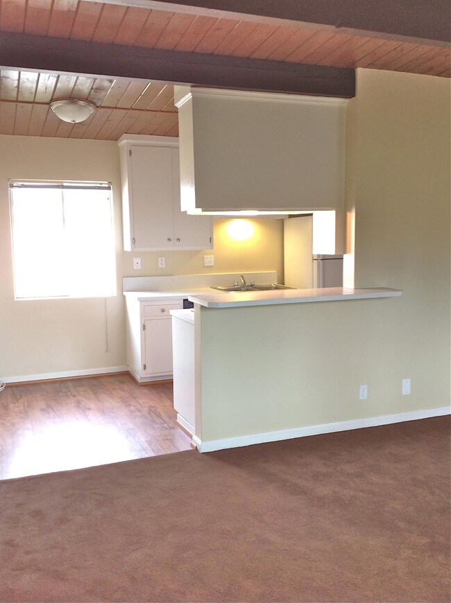 Living Room & Kitchen