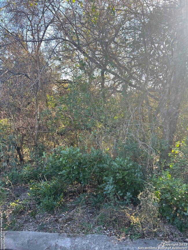 16813 Fox Ridge, San Antonio, TX 78023 - photo 5