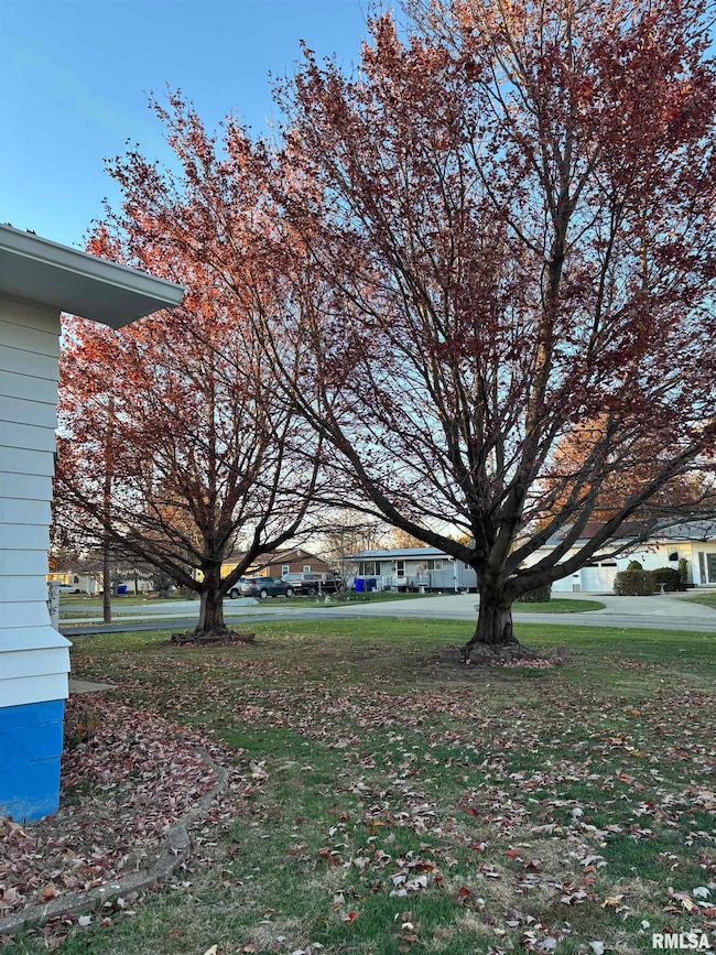 215 W Garfield St, Kewanee, IL 61443 - photo 4