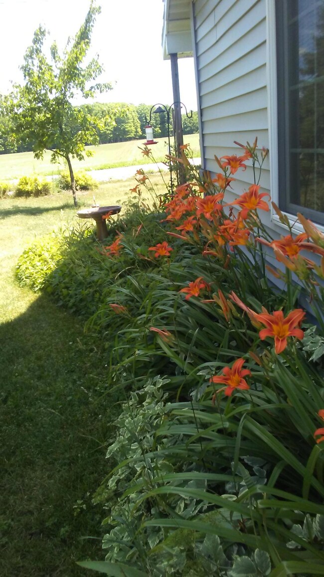 Side of Home