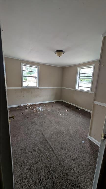 Spare room featuring dark carpet, a wealth of natu