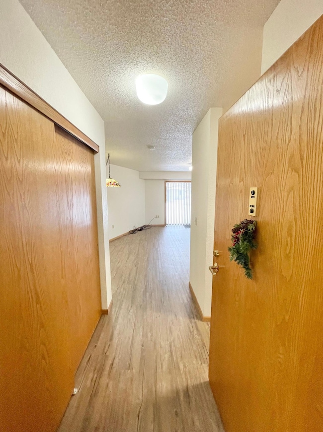 401 S County Road 5 unit 112, Springfield, MN 56087 - photo 3