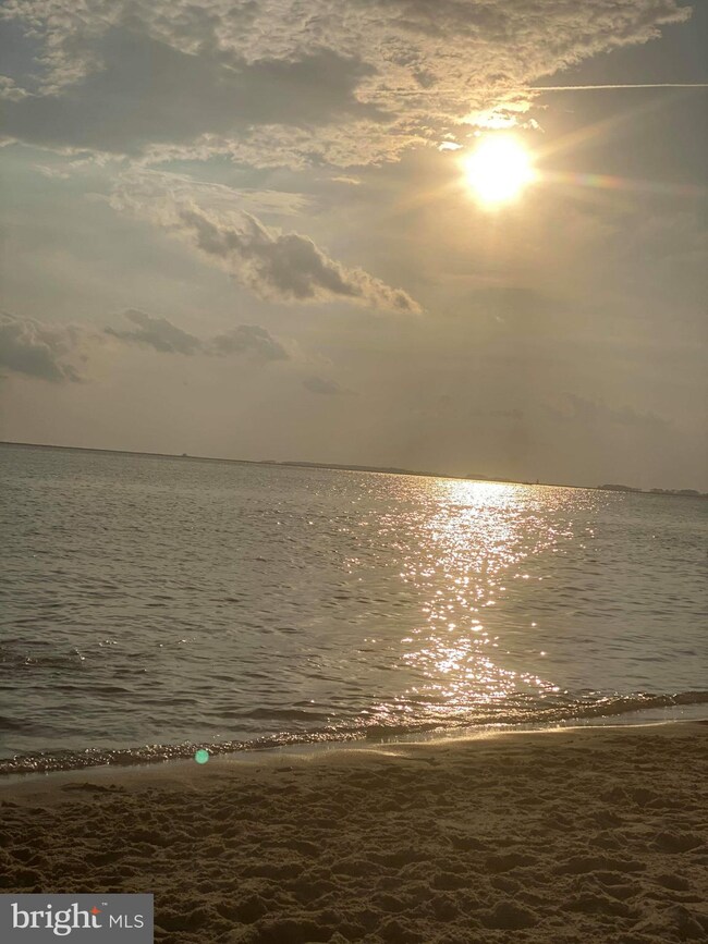 3637 Texas Rd, Bivalve, MD 21814 - photo 7