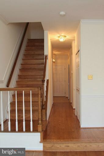 11815 Sherbourne Dr, Lutherville Timonium, MD 21093 - photo 4