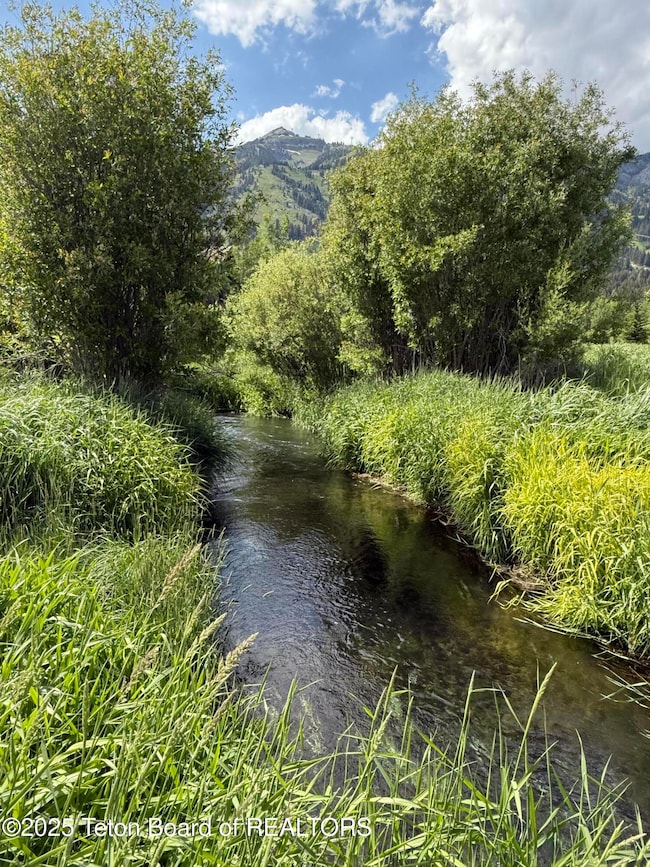 7000 Jensen Canyon Rd, Teton Village, WY 83025 - photo 4