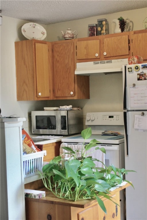 Kitchen featuring light countertops, under cabinet
