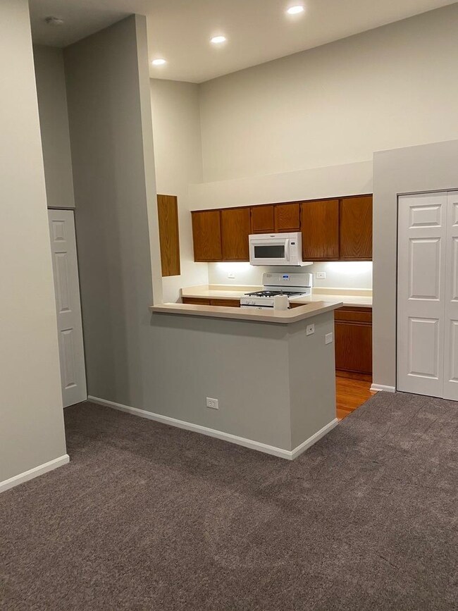 764 N Gary Ave unit 210, Carol Stream, IL 60188 - photo 5