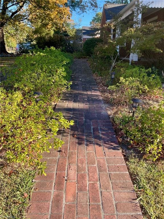 Antique Brick walkway