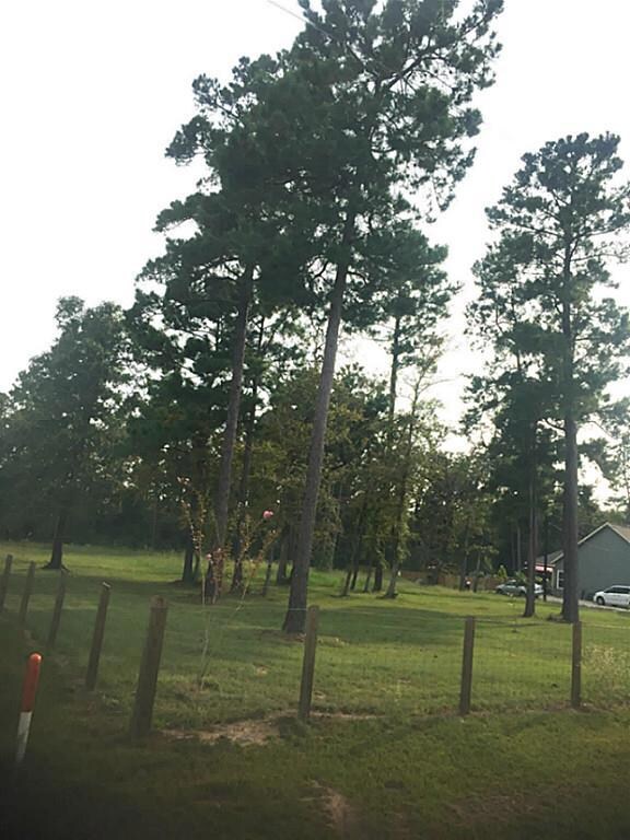 26001 W Lake View Ct, Hockley, TX 77447 - photo 2