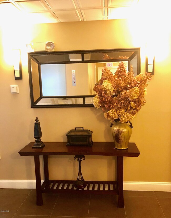 46 Housatonic St unit 3B, Lenox, MA 01240 - photo 5