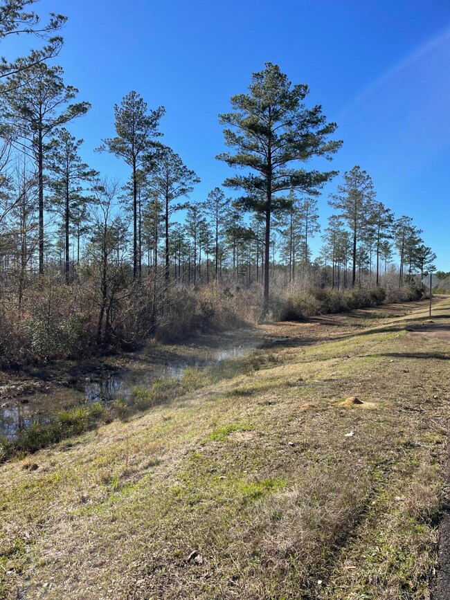 Lot 1 Ms-44, Columbia, MS 39429 - photo 4