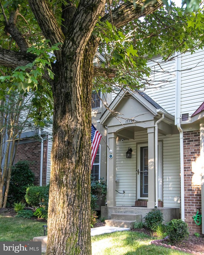 15798 Widewater Dr, Dumfries, VA 22025 - photo 5