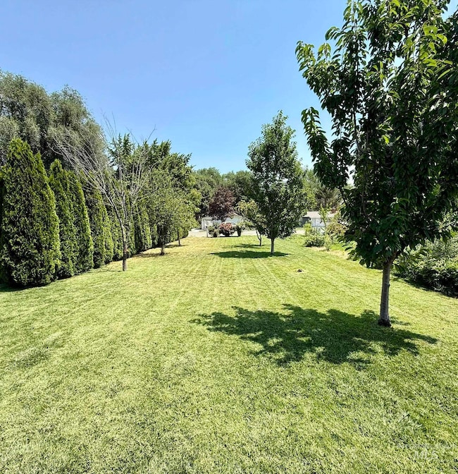 View of grassy yard