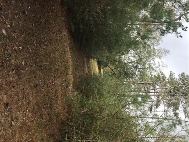 24375 Pope Rd, Franklinton, LA 70438 - photo 7