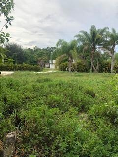 pond