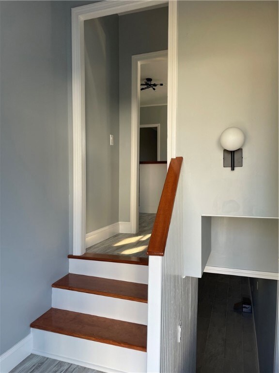 102 Ophelia St, Providence, RI 02909 - photo 6