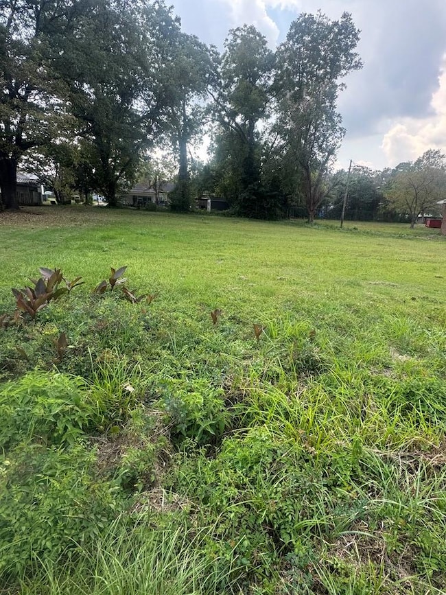 00 Woodrow Ave, Dublin, GA 31021 - photo 4