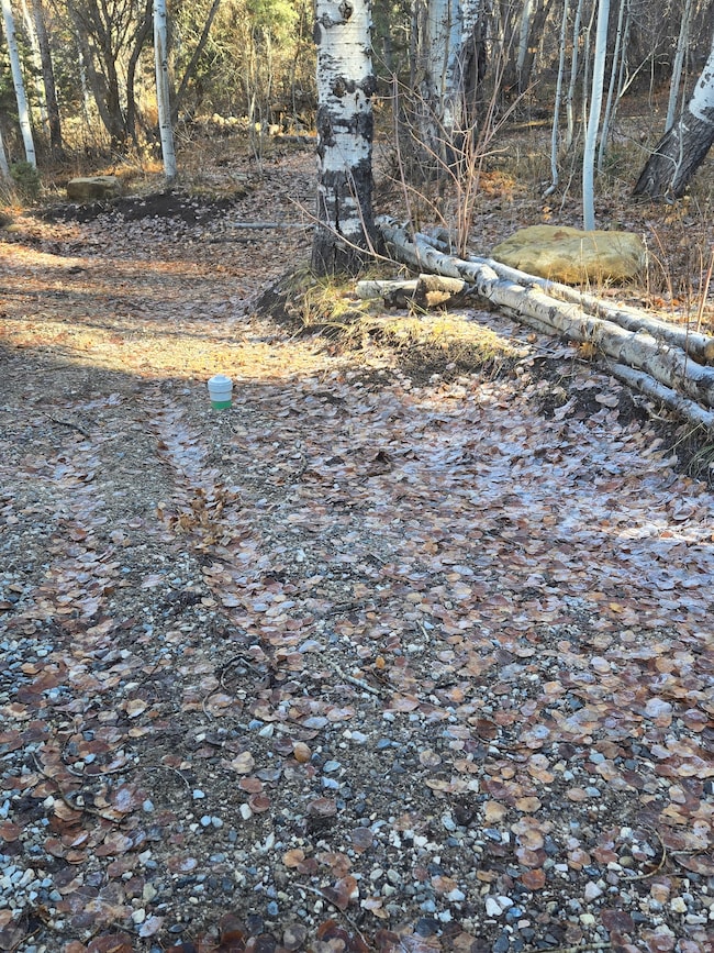 827 E North Fork Rd S unit 827, Fairview, UT 84629 - photo 4