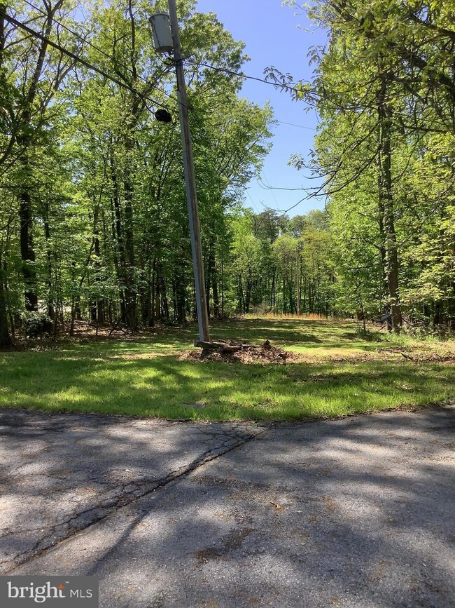 2166 Burnt Mill Rd, Berkeley Springs, WV 25411 - photo 7