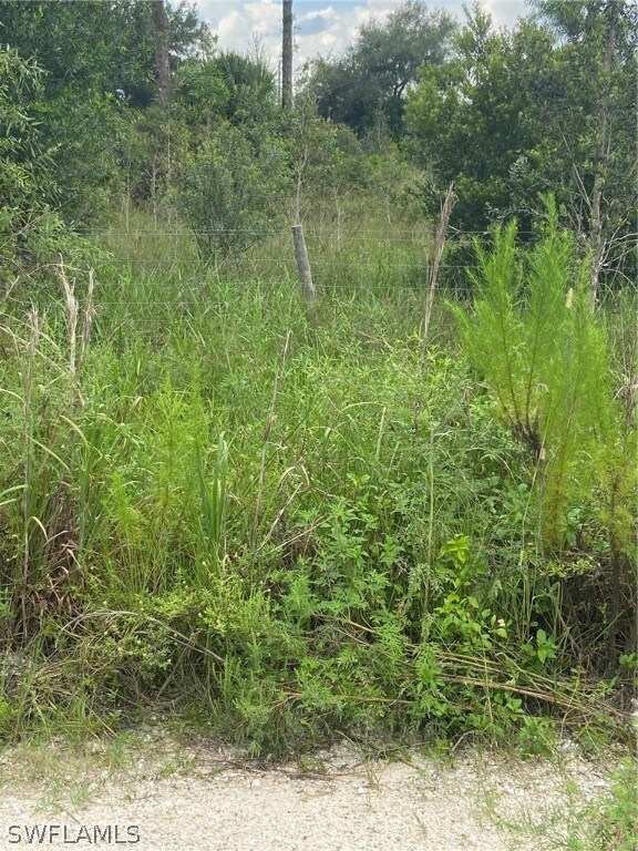 17321 Richard Rd, Fort Myers, FL 33913 - photo 3