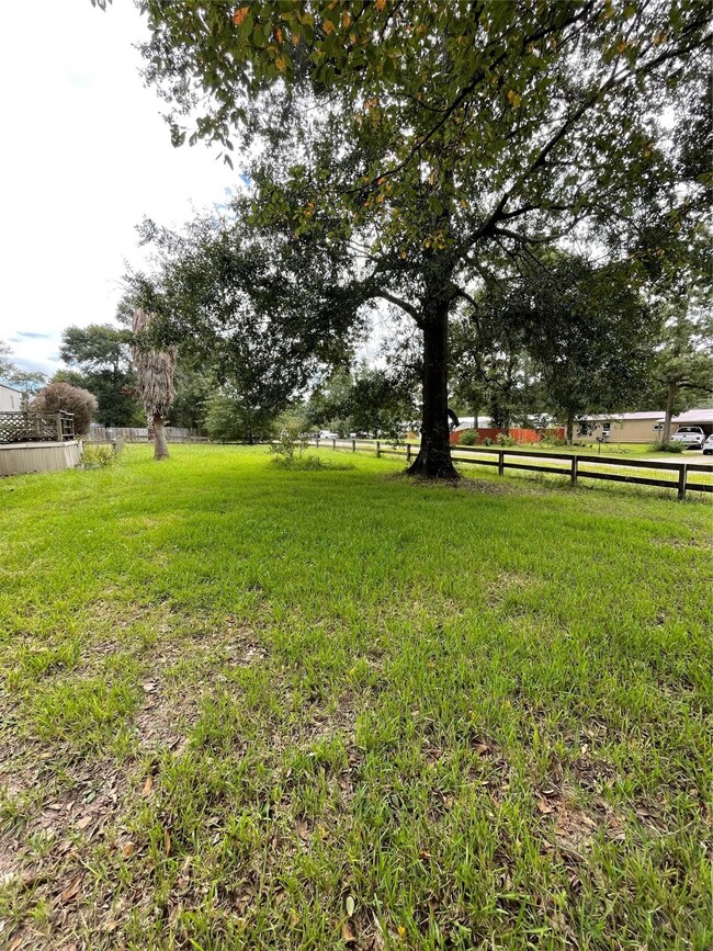 29703 Tilbury Ct, Magnolia, TX 77354 - photo 4