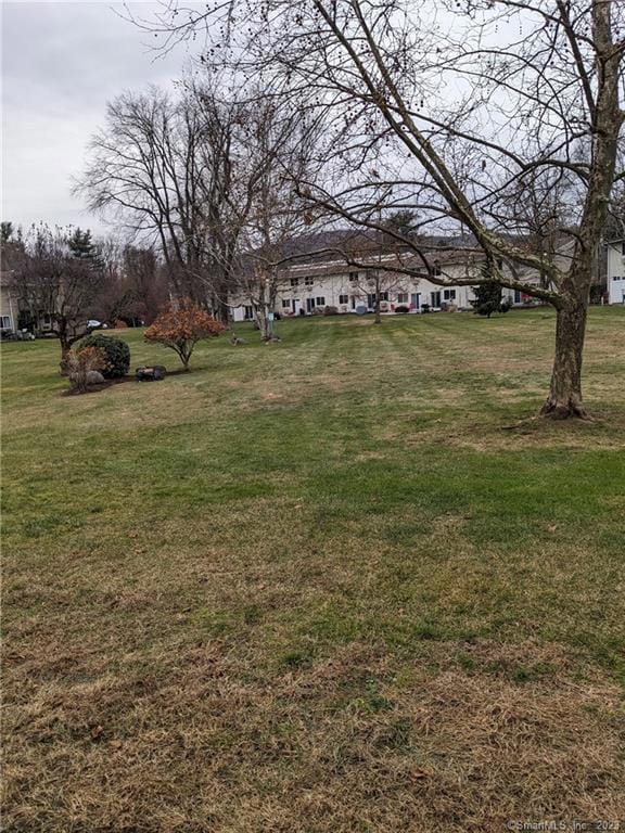 back yard - open space
