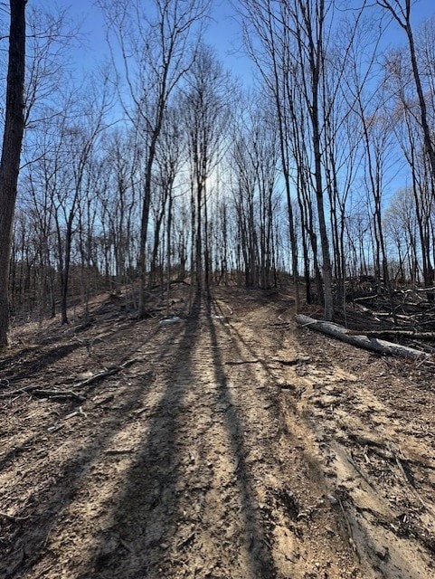 00 Garrett Ln, Allons, TN 38541 - photo 5