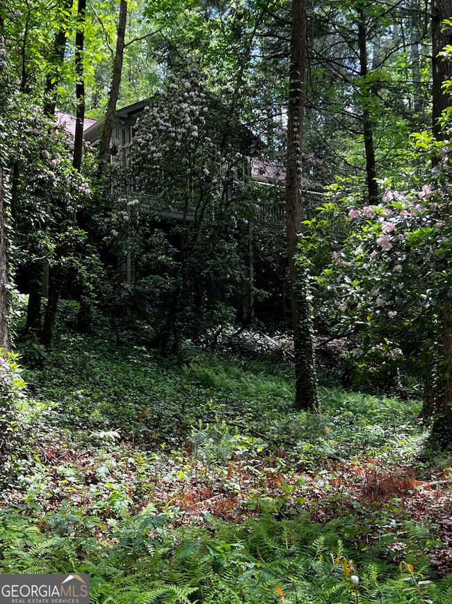 105 Chinquapin Ln, Clarkesville, GA 30523 - photo 4