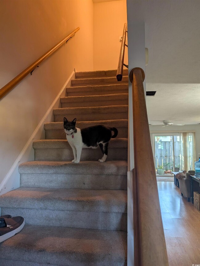 Stairway featuring wood-type flooring