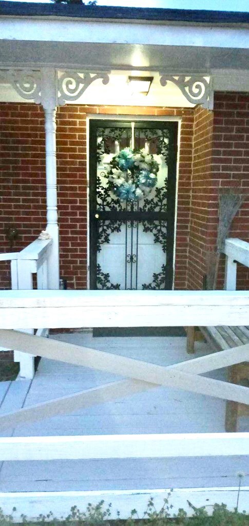 Storm Door