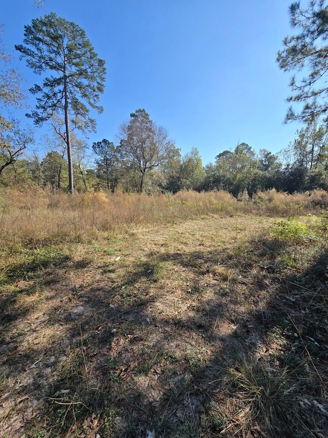 10287 Wanda Ln, Montgomery, TX 77316 - photo 2