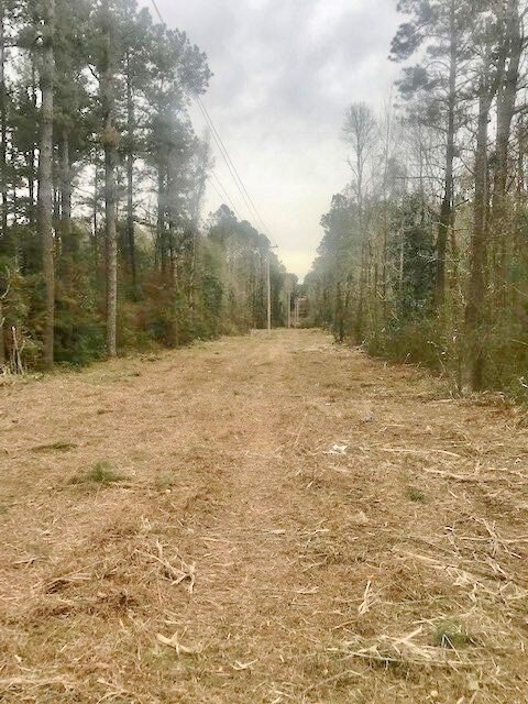 1555 Hartzog St, Prentiss, MS 39474 - photo 2