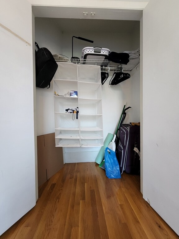 154 W Concord St unit 3A, Boston, MA 02118 - photo 5