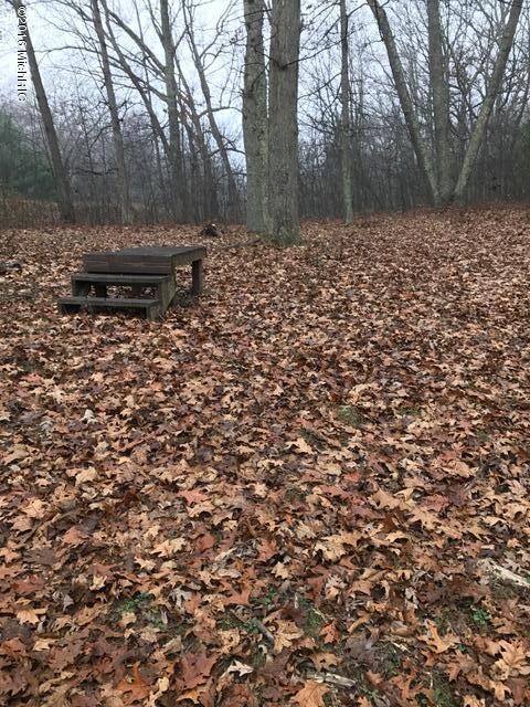 0 Fiftieth Ave unit 16057148, Bitely, MI 49309 - photo 6