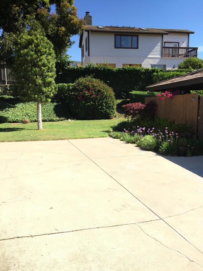 Outdoor shared green space