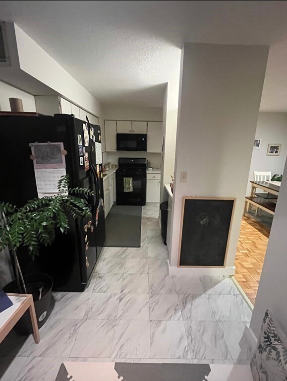 10 Fresh Pond Place unit 10, Cambridge, MA 02138 - photo 2