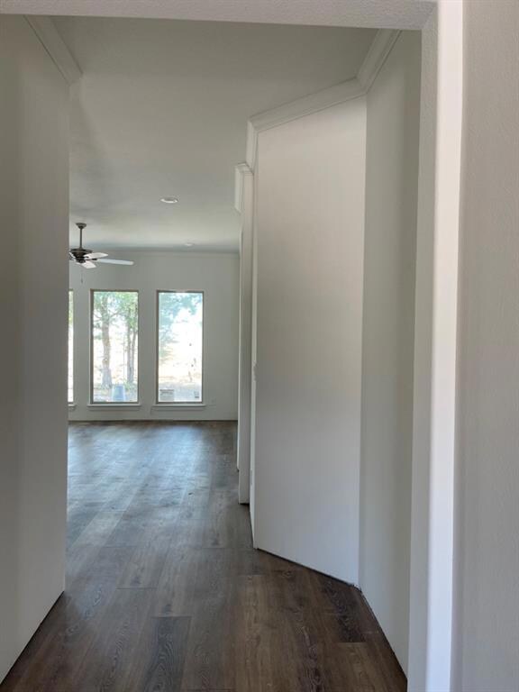 entry into living area