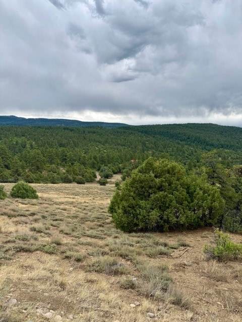Unit 5 Tract 1 Private Drive 1783, Chama, NM 87520 - photo 5