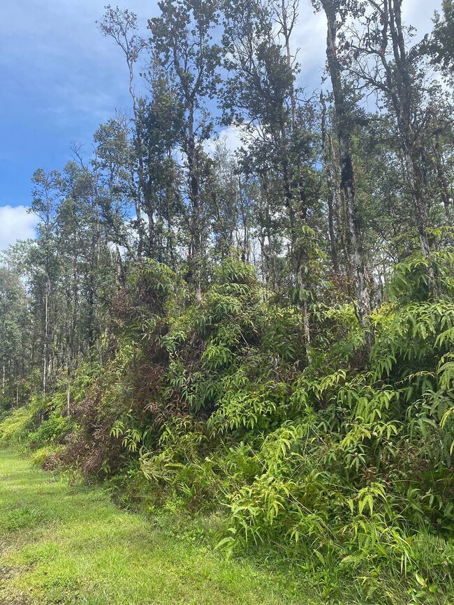 0 Molokai Rd unit 709658, Pahoa, HI 96778 - photo 3