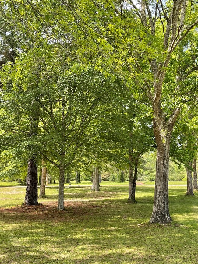 226 Bulter St, McCall Creek, MS 39647 - photo 2