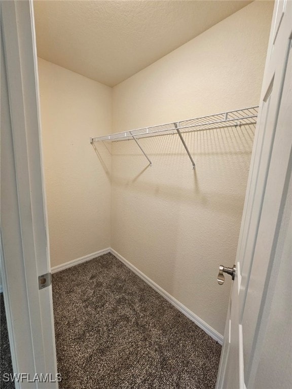Spacious closet with carpet floors