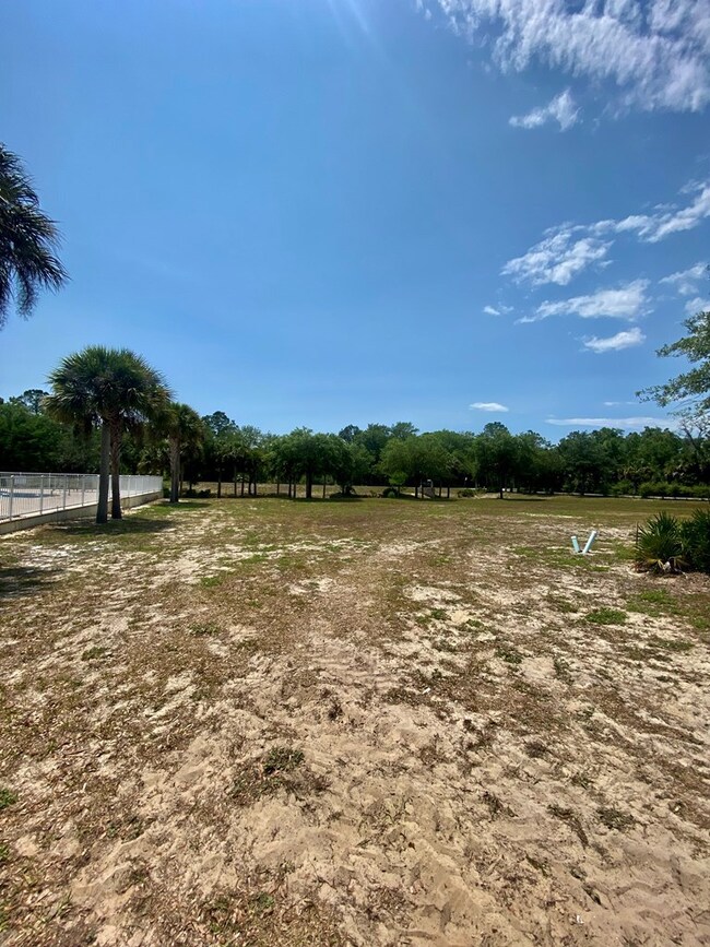 000 River's Bend Crossing NE, Steinhatchee, FL 32359 - photo 4