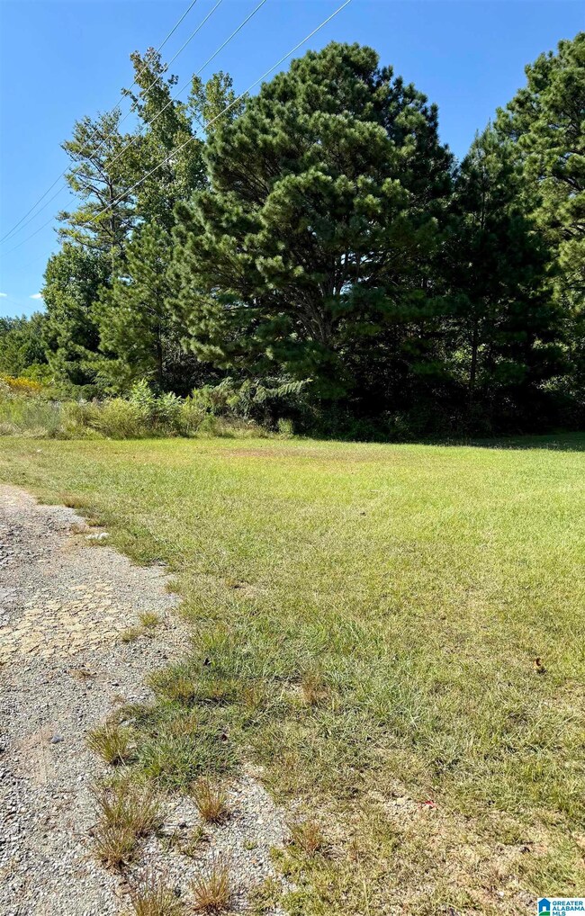 0 Highway 46 unit 2 21430866, Heflin, AL 36264 - photo 3