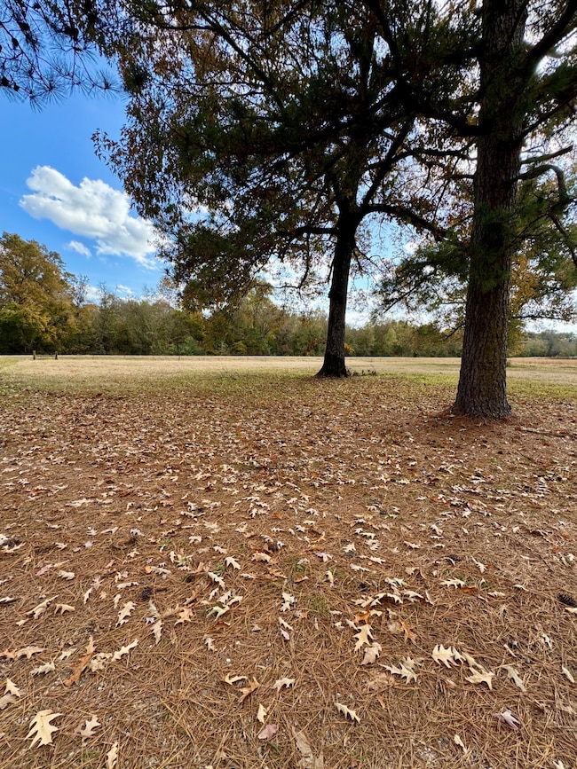 TBD Pleasant Hill Rd, Haworth, OK 74740 - photo 6