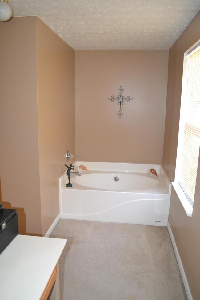 Master bathroom tub.