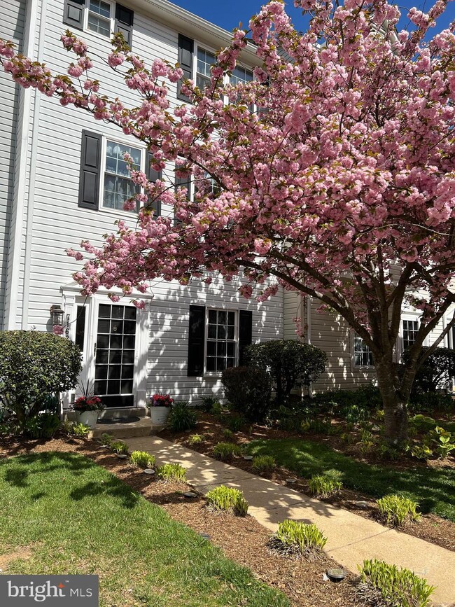 7162 Mahogany Dr, Hyattsville, MD 20785 - photo 5