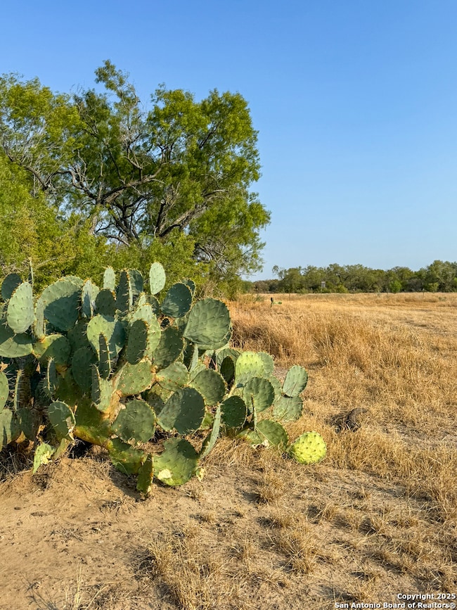 6870 County Road 329 (Tract 1), Jourdanton, TX 78026 - photo 7