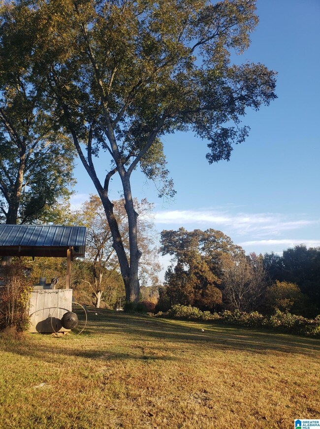 65865 Highway 22, Roanoke, AL 36274 - photo 6