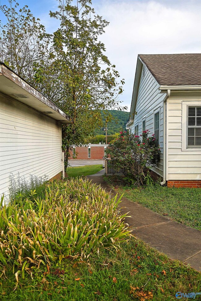 505 Alabama Ave SW, Fort Payne, AL 35967 - photo 4