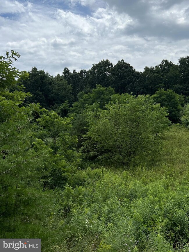 LOT 19 Fable Rd, Hedgesville, WV 25427 - photo 4